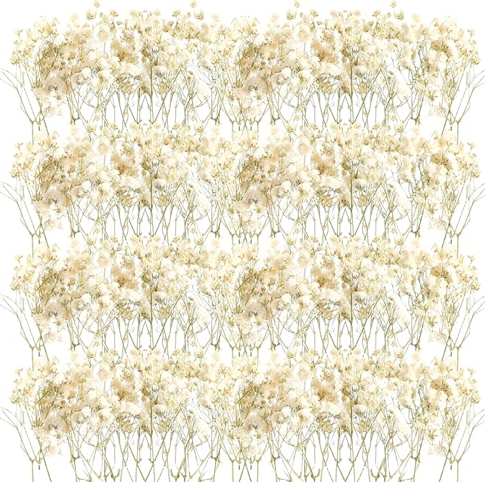 Fumete 50 Pcs Mini Dried Baby Breath Flowers Wedding Ivory Natural Flowers Bulk Dried Gypsophila for Vase Bride Shower Invitation Card DIY Candle Making Decor Craft Party Resin Art, 2-4 in