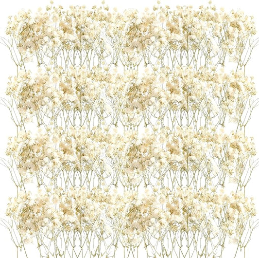 Fumete 200 Pcs Mini Dried Baby Breath Flowers Wedding Ivory Natural Flowers Bulk Dried Gypsophila for Vase Bride Shower Invitation Card DIY Candle Making Decor Craft Party Resin Art, 2-4 in