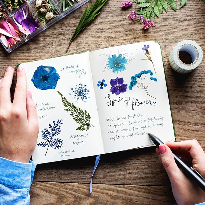 Nuanchu 167 Pcs Real Dried Pressed Flowers Natural Dried Flowers Colorful Daisy Mixed Wildflowers Leave for DIY Candle Resin Nails Jewelry Pendant Crafts Floral Art(Blue,Novelty Style)