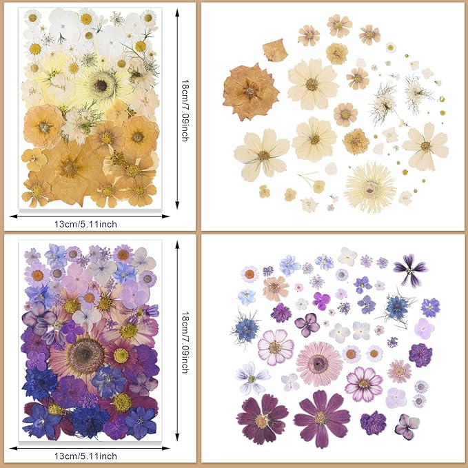 Nuanchu 200 Pcs Pressed Flowers Bulk Dried Flower for Craft Resin Mold Bookmark Scrapbooking Nail Cake White Orange Natural Pressed Dried Floral with Tweezer DIY Gift(Bright Color,Natural Style)