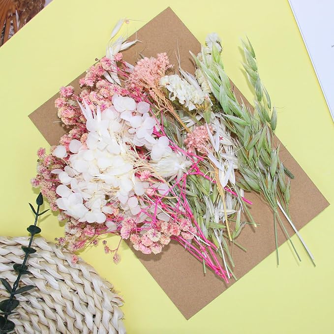 Real Dried Flowers, Natural Dry Flowers Mixed Natural Pressed Flowers Flores Secas Dried Florals for Crafts,Resin,Candle Making,Natural Flowers, Colors Vary Slightly(Pink and White)