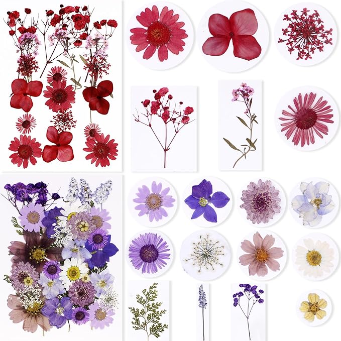 BIHRTC 100pcs Blue Dried Flowers for Resin Molds Red Real Dry Natural Flower Leaf Daisy for Scrapbooking DIY Candle Accessories Jewelry Crafts Making DIY Art Crafts Cake Decor