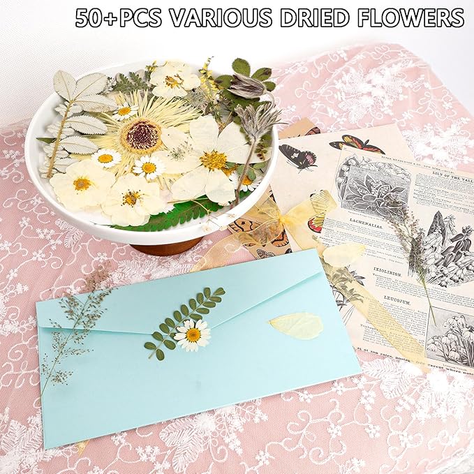 50Pcs Dried Pressed Flowers Real Pressed Flowers Natural Dry Leaves Bulk Mixed Colorful Herbs Kit with Tweezers for Scrapbooking DIY Candle Jewelry Crafts Making Nails (White)