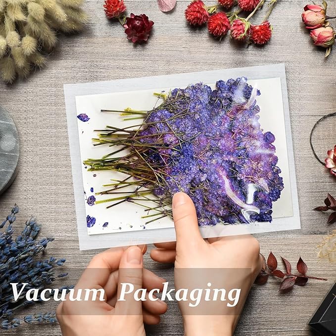 Dried Pressed Gypsophila Flowers with Stem, 42PCS Purple Natural Real Dried Pressed Babysbreath Flowers Dry Flowers for Resin Jewelry DIY Phone Case Decor Crafts Candle Making