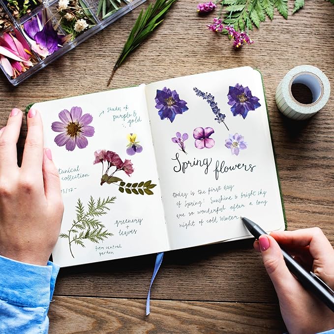 Nuanchu 167 Pcs Real Dried Pressed Flowers Natural Dried Flowers Colorful Daisy Mixed Wildflowers Leave for DIY Candle Resin Nails Jewelry Pendant Crafts Floral Art(Purple,Elegant Style)