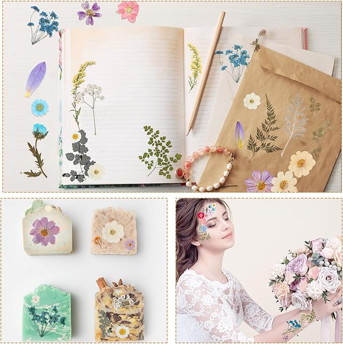 Nuanchu 200 Pcs Pressed Flowers Bulk Dried Flower for Craft Resin Mold Bookmark Scrapbooking Nail Cake White Orange Natural Pressed Dried Floral with Tweezer DIY Gift(Vivid Color,Colorful Style)