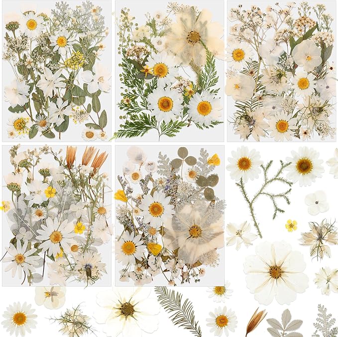 Nuanchu 167 Pcs Real Dried Pressed Flowers Natural Dried Flowers Colorful Daisy Mixed Wildflowers Leave for DIY Candle Resin Nails Jewelry Pendant Crafts Floral Art (White,Pure Style)