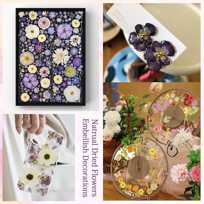 60Pcs Pansy Dried Pressed Flowers for Crafts,Xinxinran Dry Flowers Kit for Cake Decorating,Resin Molds,Bookmark,Jewelry Molds,Candle Making Supplies,Soap,Frame(8 Color)