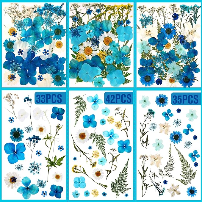 Nuanchu 167 Pcs Real Dried Pressed Flowers Natural Dried Flowers Colorful Daisy Mixed Wildflowers Leave for DIY Candle Resin Nails Jewelry Pendant Crafts Floral Art(Blue,Novelty Style)