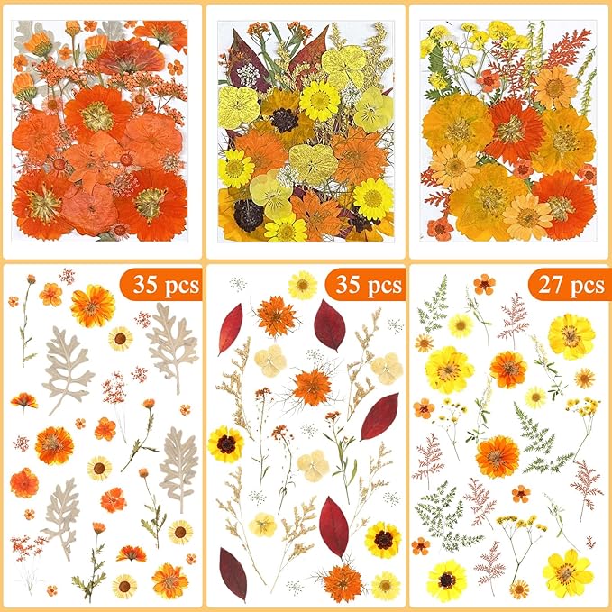 Nuanchu 167 Pcs Real Dried Pressed Flowers Natural Dried Flowers Colorful Daisy Mixed Wildflowers Leave for DIY Candle Resin Nails Jewelry Pendant Crafts Floral Art(Yellow,Bright Style)