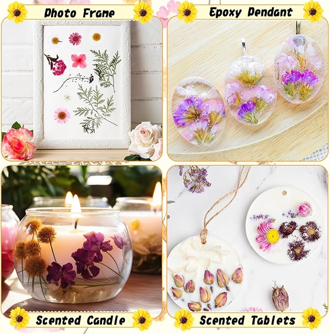 Nuanchu 167 Pcs Real Dried Pressed Flowers Natural Dried Flowers Colorful Daisy Mixed Wildflowers Leave for DIY Candle Resin Nails Jewelry Pendant Crafts Floral Art(Bright Color)