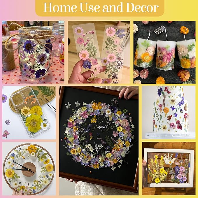 85Pcs Colorful Pressed Flowers for Crafts, Natural Dried Flowers for Crafts Real Dried Pressed Flowers Dry Leaves for Resin, DIY Art, Scrapbook, Nails Decor, Jewelry, Candle & Soap Making, w/ Tweezer