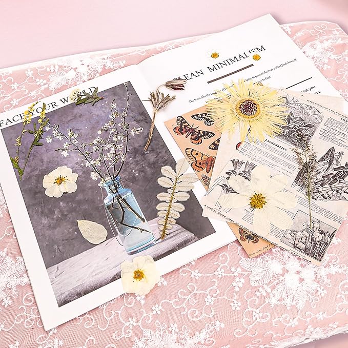 50Pcs Dried Pressed Flowers Real Pressed Flowers Natural Dry Leaves Bulk Mixed Colorful Herbs Kit with Tweezers for Scrapbooking DIY Candle Jewelry Crafts Making Nails (White)