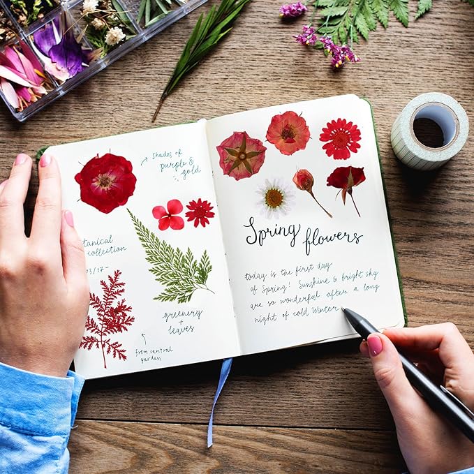 Nuanchu 167 Pcs Real Dried Pressed Flowers Natural Dried Flowers Colorful Daisy Mixed Wildflowers Leave for DIY Candle Resin Nails Jewelry Pendant Crafts Floral Art(Red,Vivid Style)