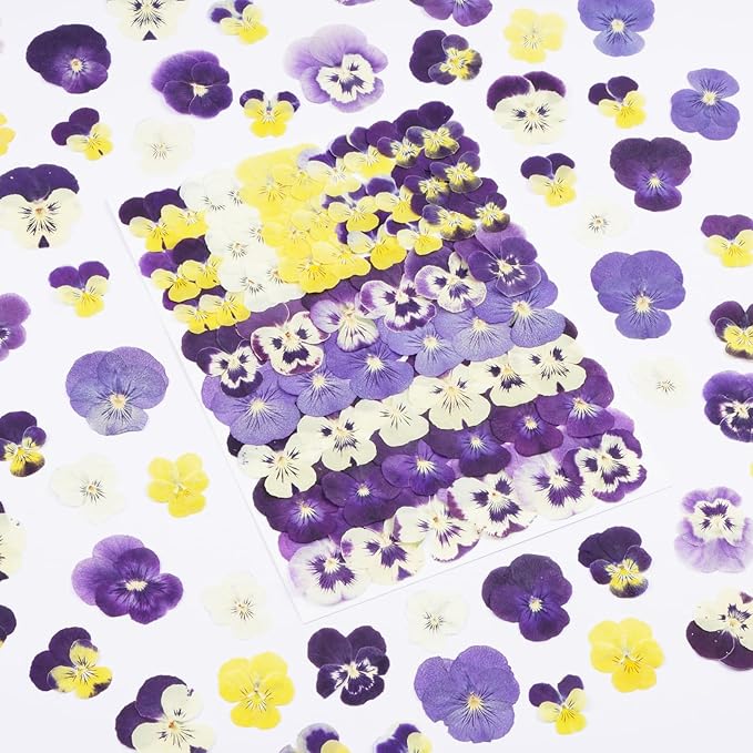 60Pcs Pansy Dried Pressed Flowers for Crafts,Xinxinran Dry Flowers Kit for Cake Decorating,Resin Molds,Bookmark,Jewelry Molds,Candle Making Supplies,Soap,Frame(8 Color)