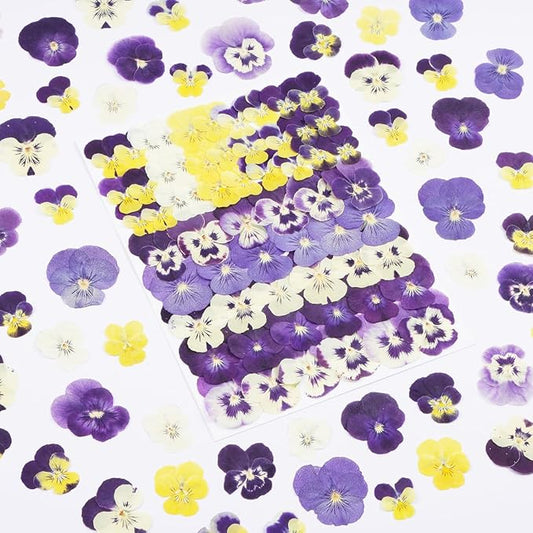 60Pcs Pansy Dried Pressed Flowers for Crafts,Xinxinran Dry Flowers Kit for Cake Decorating,Resin Molds,Bookmark,Jewelry Molds,Candle Making Supplies,Soap,Frame(8 Color)