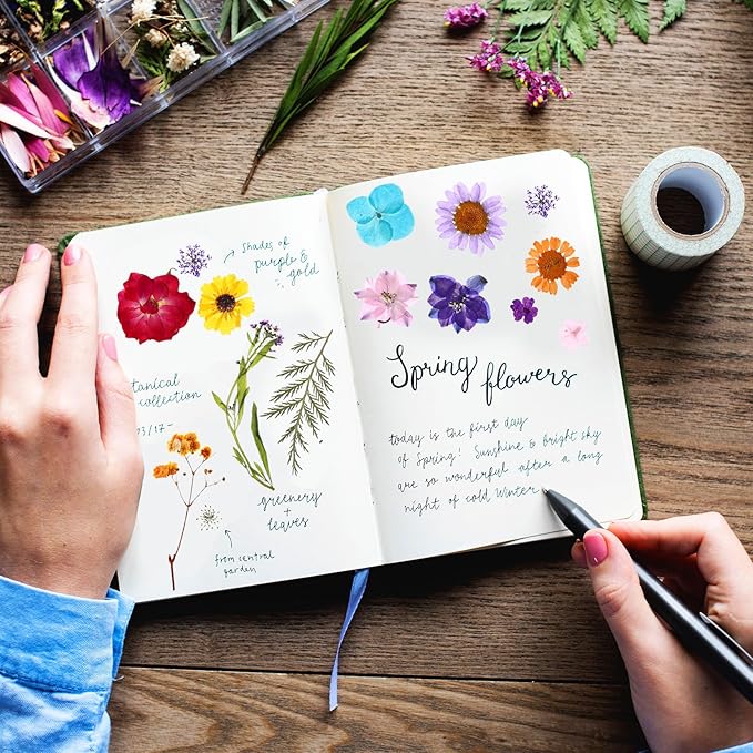 Nuanchu 167 Pcs Real Dried Pressed Flowers Natural Dried Flowers Colorful Daisy Mixed Wildflowers Leave for DIY Candle Resin Nails Jewelry Pendant Crafts Floral Art(Bright Color)