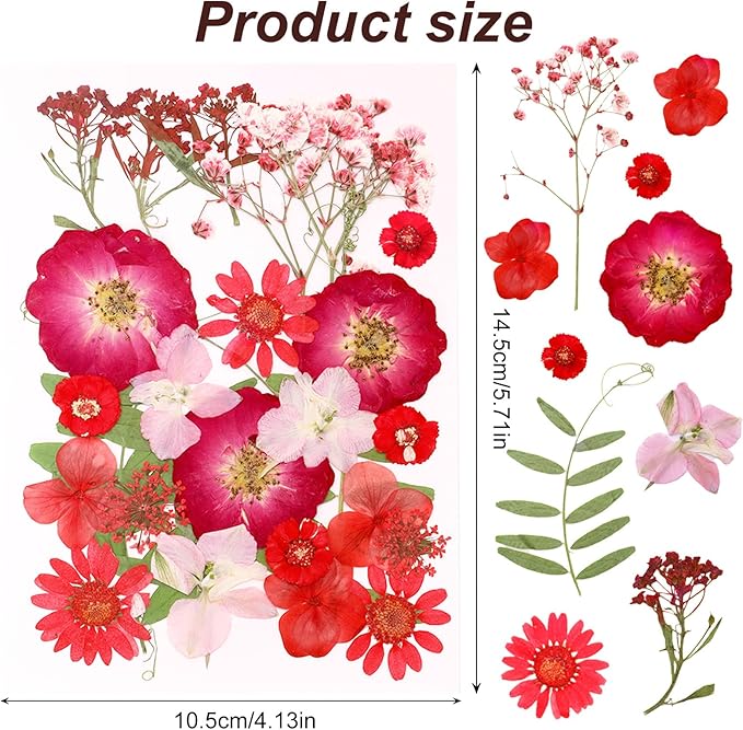 Dried Pressed Flowers Real Pressed Flowers Natural Dry Leaves Bulk Mixed Colorful Herbs Kit with Tweezers for Scrapbooking DIY Candle Jewelry Crafts Making Nails (Red)