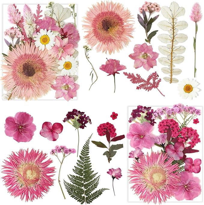34 Types 60PCS Real Dried Pressed Flowers Leaf Plant Herbarium for DIY Resin Jewelry Making Floral Decors Candle Soap Scrapbook Supplies Card