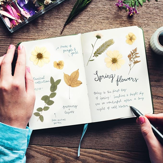 Nuanchu 167 Pcs Real Dried Pressed Flowers Natural Dried Flowers Colorful Daisy Mixed Wildflowers Leave for DIY Candle Resin Nails Jewelry Pendant Crafts Floral Art(Beige,Retro Style)