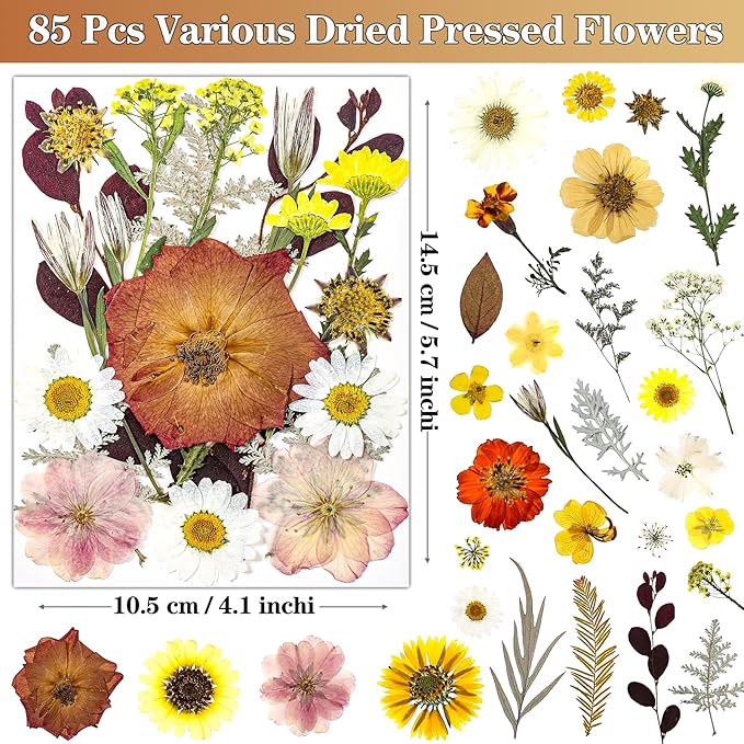85Pcs Boho Dried Flowers for Crafts, Real Natural Pressed Flowers for Crafts Vintage Dried Pressed Flowers Dry Leaves for Resin, DIY Art, Scrapbook, Jewelry, Candle & Soap Making – Tweezers Included