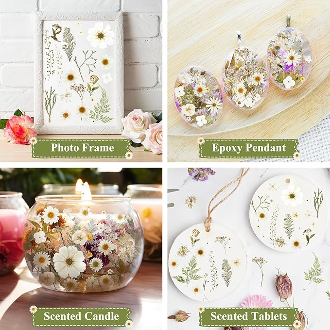 Nuanchu 167 Pcs Real Dried Pressed Flowers Natural Dried Flowers Colorful Daisy Mixed Wildflowers Leave for DIY Candle Resin Nails Jewelry Pendant Crafts Floral Art (White,Pure Style)
