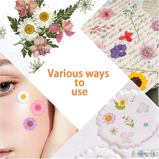 200Pcs Dried Pressed Flowers Resin Mould Real Flowers Natural Dry Leaves Bulk Mixed Colorful Herbs Kit with Tweezers for Scrapbooking DIY Candle Jewelry Crafts Making Nails Decoration(Multicolor)