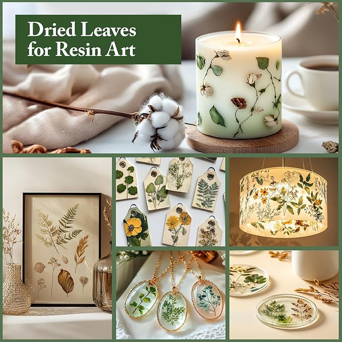 DALARAN 63 PCS Natural Dried Leaves Pressed Leaves Dried Pressed Flowers for Crafts Soap Making Candle Making and Resin Jewelry Making Pressed Flower Art Floral Decors