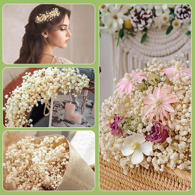 4000+ Dried Babys Breath Flowers Bulk - 17" Ivory White Dried Flower Bouquet, Real Natural Gypsophila Branches for Vase Filler, Wedding, Table Centerpiece, Home Decor, DIY Wreath Floral, Crafts