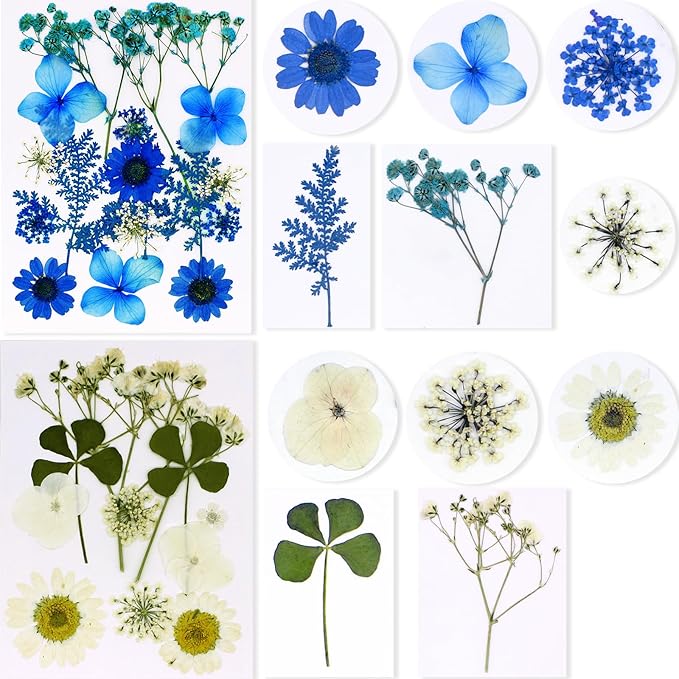 BIHRTC 100pcs Blue Dried Flowers for Resin Molds Red Real Dry Natural Flower Leaf Daisy for Scrapbooking DIY Candle Accessories Jewelry Crafts Making DIY Art Crafts Cake Decor