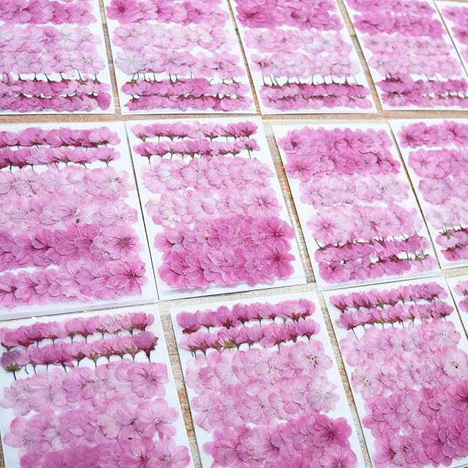 60Pcs Cherry Blossom Dried Pressed Flowers for Crafts,Xinxinran Edible Flowers for Cake Decorating,Resin Molds,Bookmark,Jewelry Molds,Candle Making Supplies,Soap,Frame(Pink)