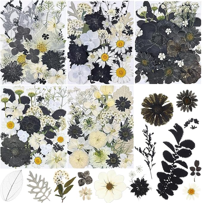 Nuanchu 167 Pcs Real Dried Pressed Flowers Natural Dried Flowers Colorful Daisy Mixed Wildflowers Leave for DIY Candle Resin Nails Jewelry Pendant Crafts Floral Art(Black White,Vintage Style)