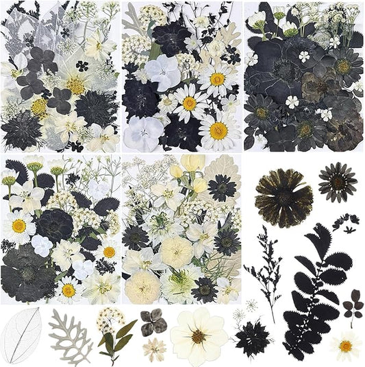 Nuanchu 167 Pcs Real Dried Pressed Flowers Natural Dried Flowers Colorful Daisy Mixed Wildflowers Leave for DIY Candle Resin Nails Jewelry Pendant Crafts Floral Art(Black White,Vintage Style)