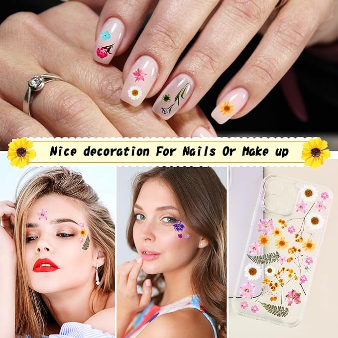 Nuanchu 167 Pcs Real Dried Pressed Flowers Natural Dried Flowers Colorful Daisy Mixed Wildflowers Leave for DIY Candle Resin Nails Jewelry Pendant Crafts Floral Art(Bright Color)