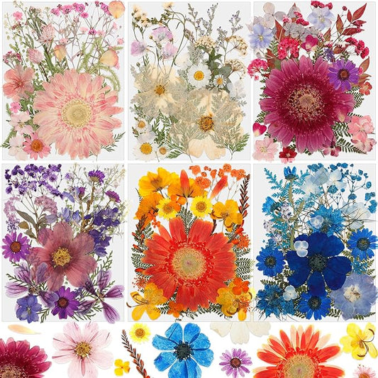 Nuanchu 167 Pcs Real Dried Pressed Flowers Natural Dried Flowers Colorful Daisy Mixed Wildflowers Leave for DIY Candle Resin Nails Jewelry Pendant Crafts Floral Art(Rainbow,Classic Style)
