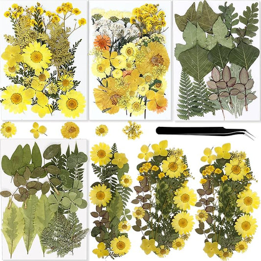 BIHRTC 100PCS Dried Pressed Flowers Assorted Real Dried Pressed Leaves Natural Colorful Real Dry Flowers Leaves for Resin Scrapbooking DIY Candle Accessories Jewelry Crafts Making