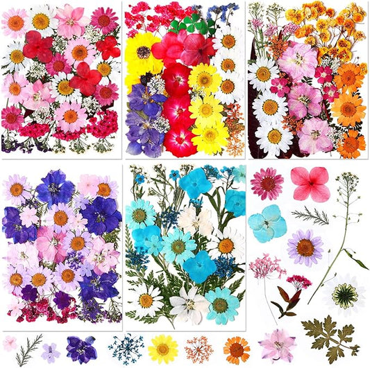 Nuanchu 167 Pcs Real Dried Pressed Flowers Natural Dried Flowers Colorful Daisy Mixed Wildflowers Leave for DIY Candle Resin Nails Jewelry Pendant Crafts Floral Art(Bright Color)