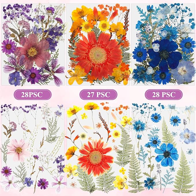 Nuanchu 167 Pcs Real Dried Pressed Flowers Natural Dried Flowers Colorful Daisy Mixed Wildflowers Leave for DIY Candle Resin Nails Jewelry Pendant Crafts Floral Art(Rainbow,Classic Style)