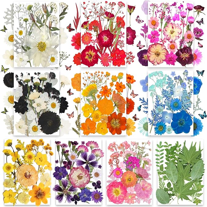 TrendCart 301Pcs Multi-Style Dried Pressed Flowers & Leaves (10 Packs) - Pressed Flower for Crafts, Resin, Nail Art, Candle, Soap, Scrapbooking & Frame Decor