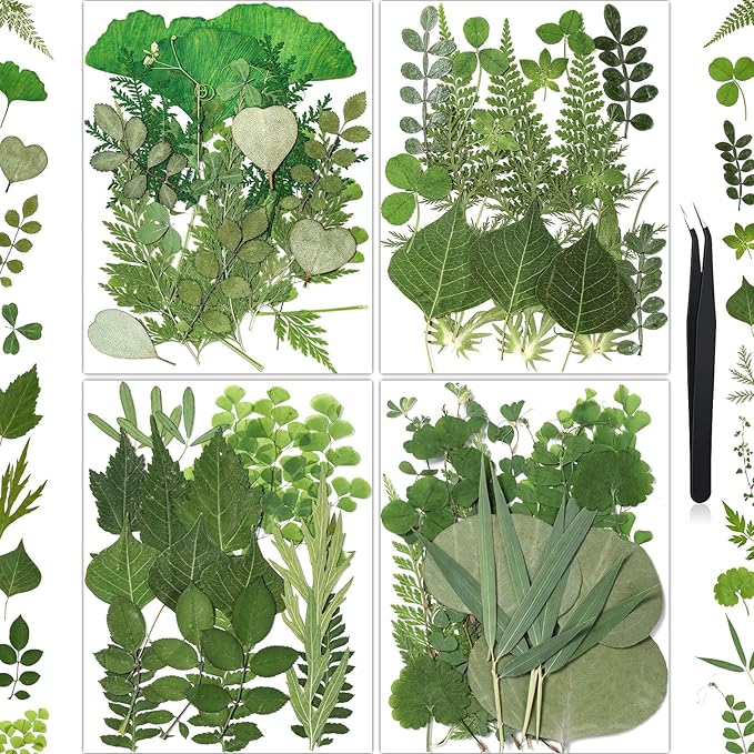 86Pcs Dried Pressed Flowers Leaves for Crafts, Real Natural Dried Leaves Pressed Leaves Bulk Dry Leaves for Resin, DIY Art, Jewelry, Candle & Soap Making, Scrapbook Bookmarks Ideas – Tweezers Included