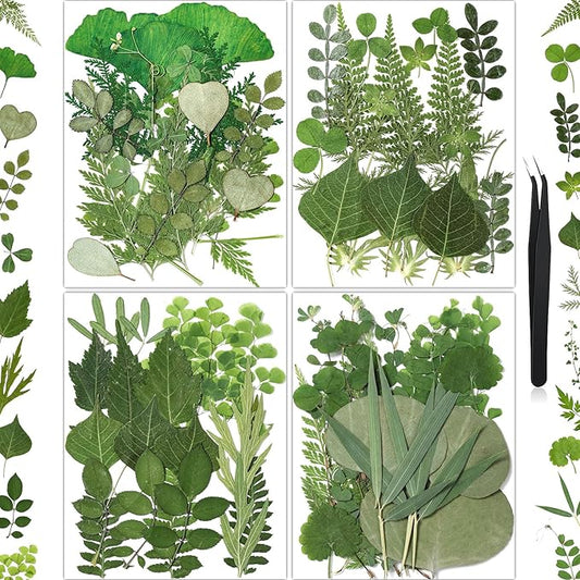 86Pcs Dried Pressed Flowers Leaves for Crafts, Real Natural Dried Leaves Pressed Leaves Bulk Dry Leaves for Resin, DIY Art, Jewelry, Candle & Soap Making, Scrapbook Bookmarks Ideas – Tweezers Included