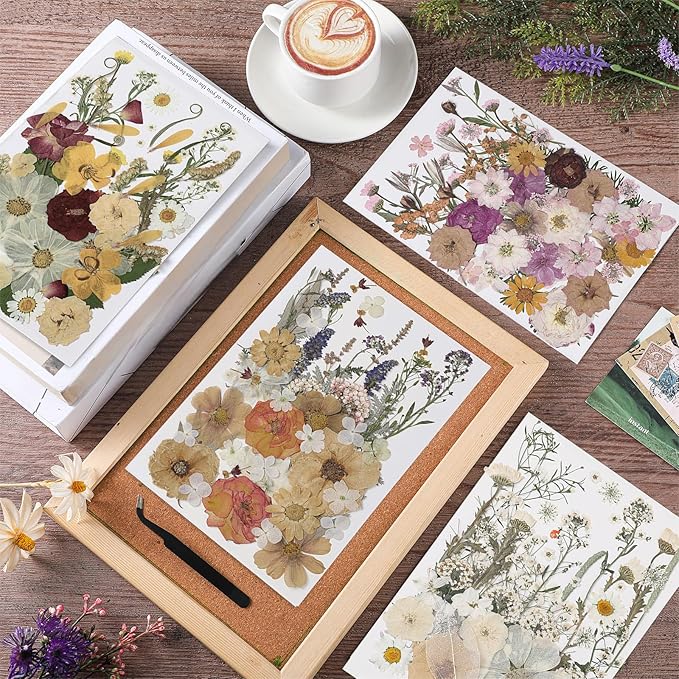 Nuanchu 200 Pcs Pressed Flowers Bulk Dried Flower for Craft Resin Mold Bookmark Scrapbooking Nail Cake White Orange Natural Pressed Dried Floral with Tweezer DIY Gift(Classic Color,Retro Style)