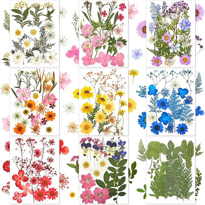 Nuanchu 167 Pcs Real Dried Pressed Flowers Natural Dried Flowers Colorful Daisy Mixed Wildflowers Leave for DIY Candle Resin Nails Jewelry Pendant Crafts Floral Art (Multicolor,Lovely Style)