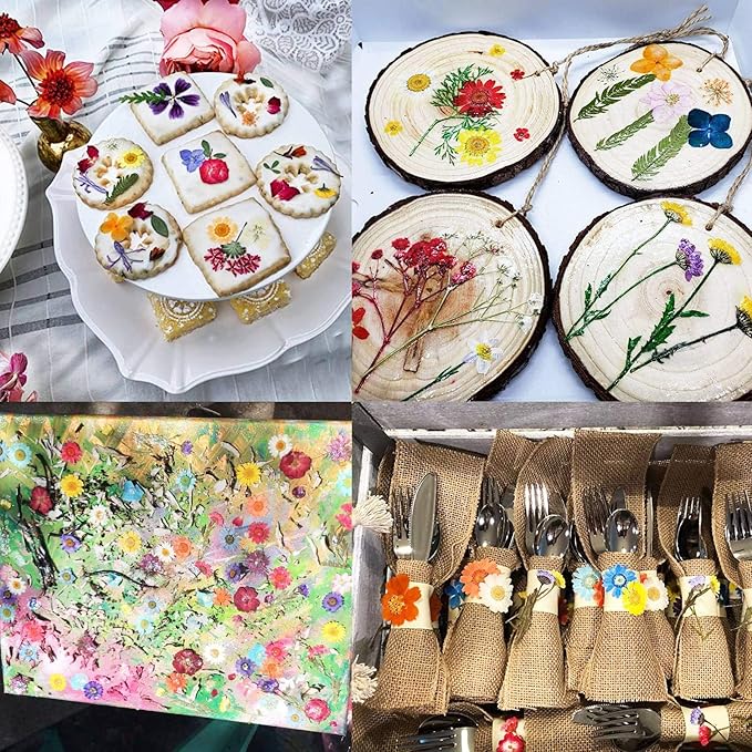 BIHRTC 100PCS Died Pressed Flowers Natural Colorful Real Dry Flowers Leaves Set for Resin Jewelry Making DIY Craft Candle Nail Art