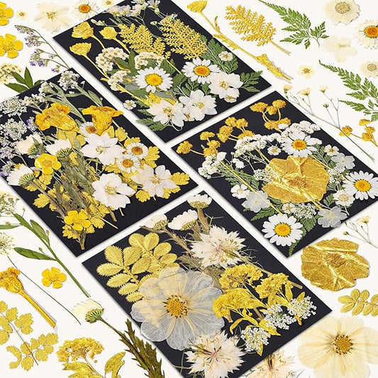 85 Pcs Dried Flowers for Crafts, Real Natural Dried Pressed Flowers in Golden & White for Resin, DIY Art, Jewelry, Candle & Soap Making – Tweezers Included
