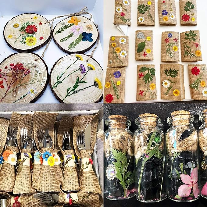 BIHRTC 100PCS Dried Flowers for Resin Real Dry Flower Natural Pressed Died Leaves Sunflowers Chrysanthemum Resin Small Colorful Pressed Flowers Daisies for Candle Jewelry Nail Pendant Making