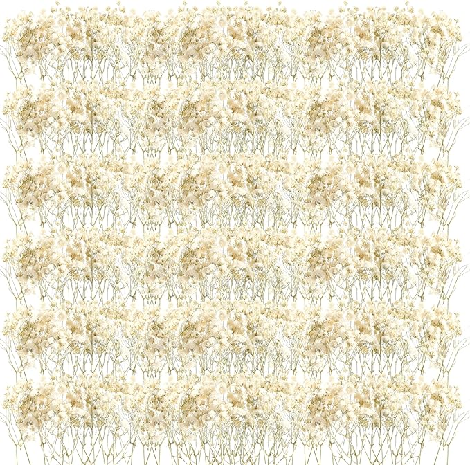 Fumete 300 Pcs Mini Dried Baby Breath Flowers Wedding Ivory Natural Flowers Bulk Dried Gypsophila for Vase Bride Shower Invitation Card DIY Candle Making Decor Craft Party Resin Art, 2-4 in