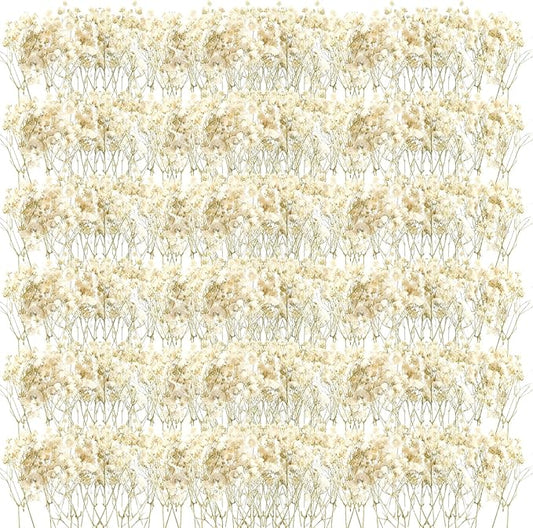 Fumete 300 Pcs Mini Dried Baby Breath Flowers Wedding Ivory Natural Flowers Bulk Dried Gypsophila for Vase Bride Shower Invitation Card DIY Candle Making Decor Craft Party Resin Art, 2-4 in