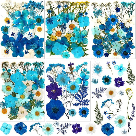 Nuanchu 167 Pcs Real Dried Pressed Flowers Natural Dried Flowers Colorful Daisy Mixed Wildflowers Leave for DIY Candle Resin Nails Jewelry Pendant Crafts Floral Art(Blue,Novelty Style)