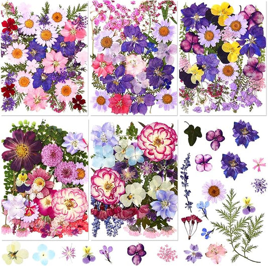 Nuanchu 167 Pcs Real Dried Pressed Flowers Natural Dried Flowers Colorful Daisy Mixed Wildflowers Leave for DIY Candle Resin Nails Jewelry Pendant Crafts Floral Art(Purple,Elegant Style)